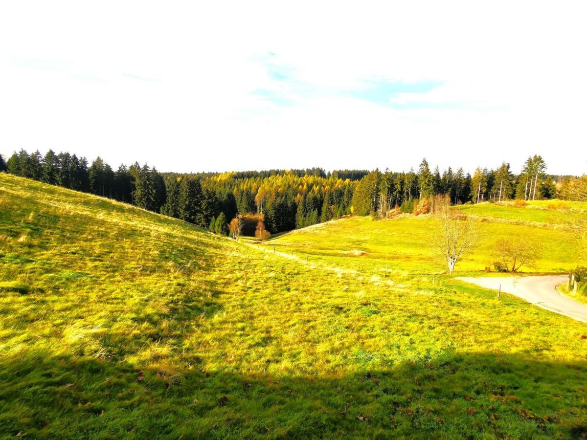 Ferienwohnung Am Bergmannsbrunnen Schönheide Extérieur photo